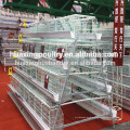 A type 3 layer chicken cages for Kenya poultry farm